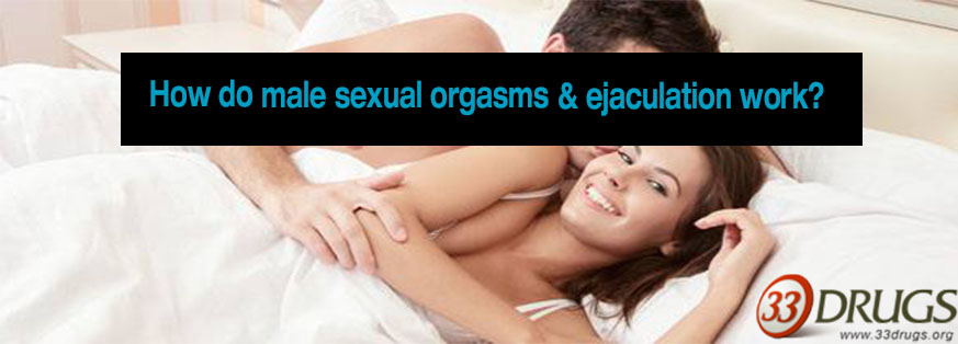 How do male sexual orgasms & ejaculation work?