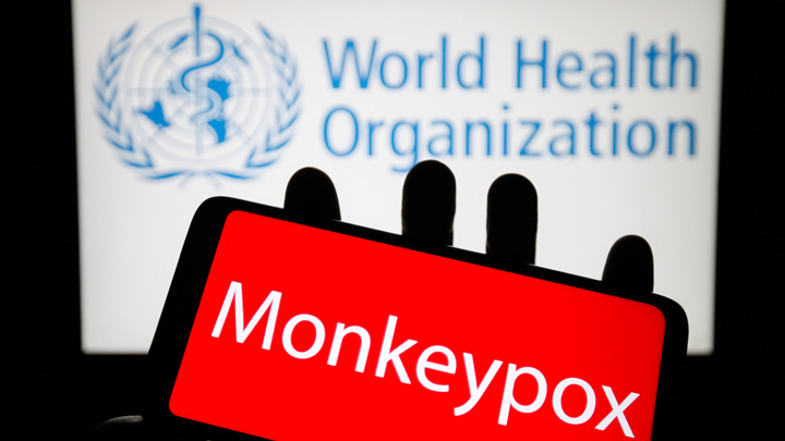 IN WHICH COUNTRIES ARE OUTBREAKS OF SMALLPOX OF MONKEYS RECORDED NOW