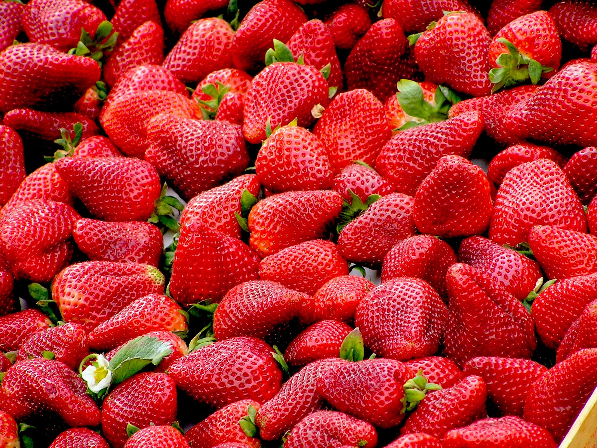 Strawberries fight depression