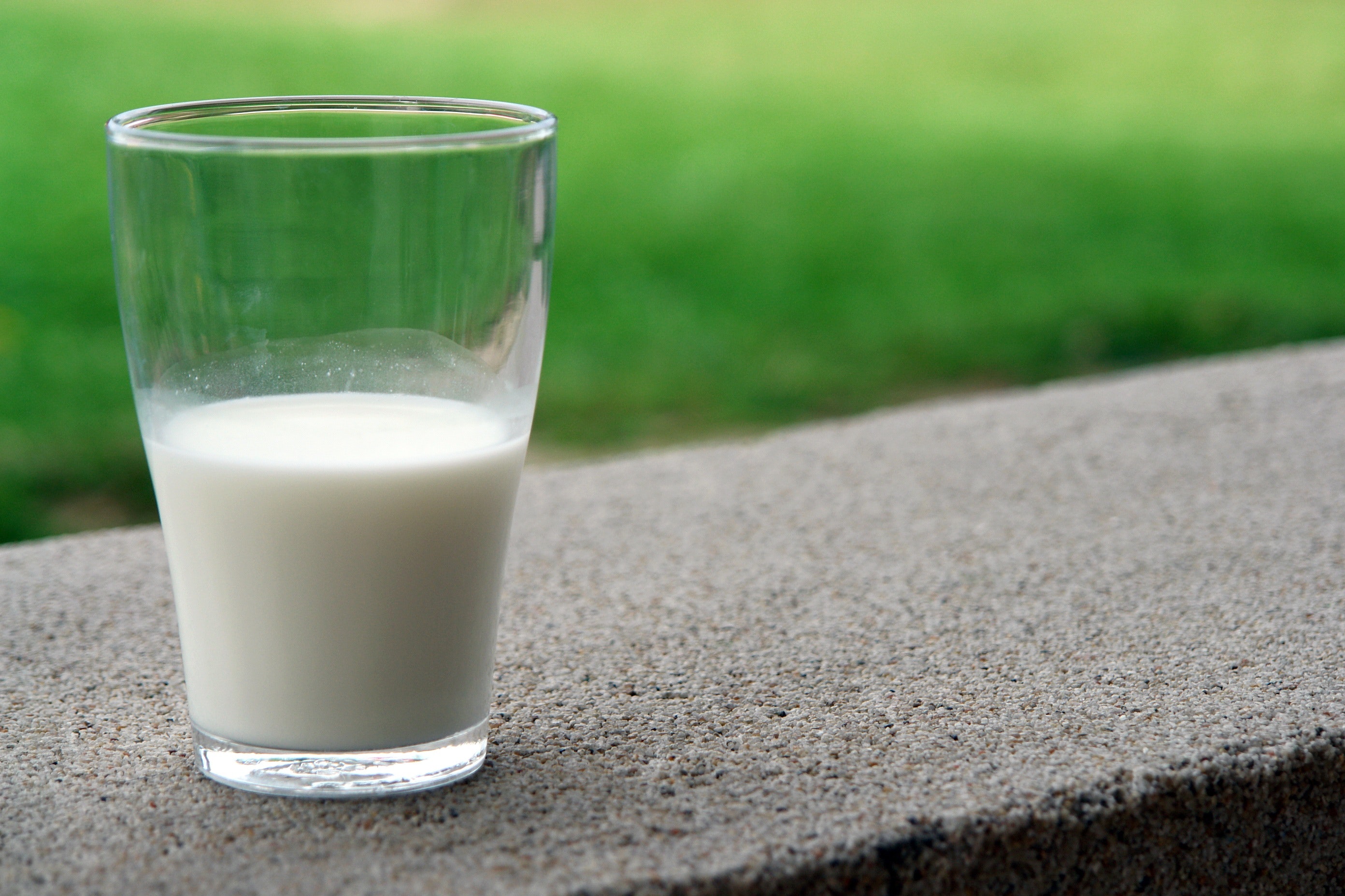 The harm of milk to the prostate