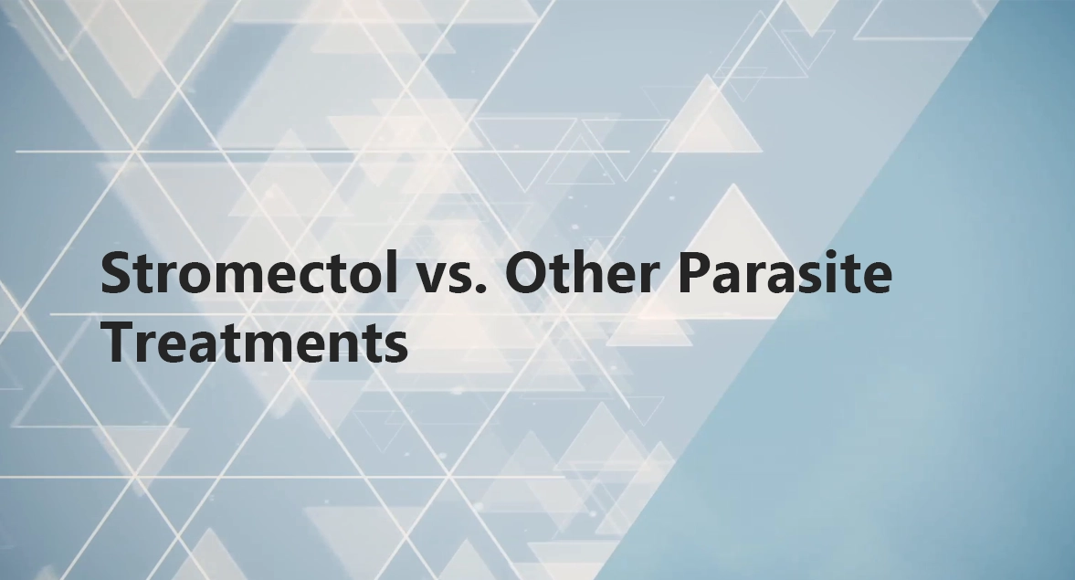 Stromectol Compared to Alternative Parasite Treatments